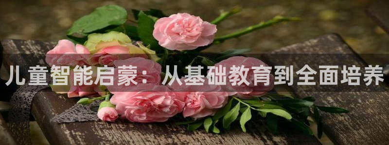 新宝5注册平台