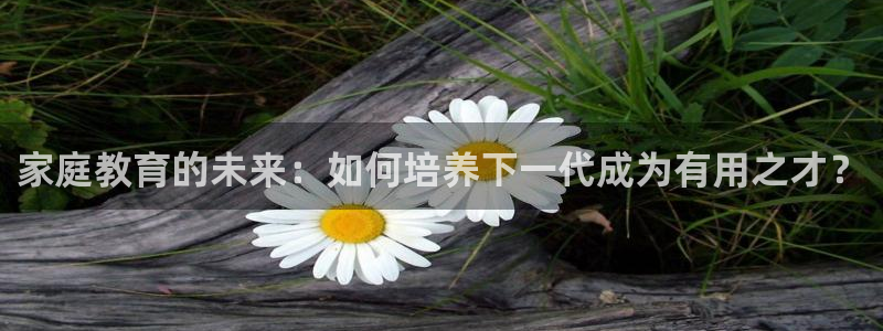 新宝5登录不了