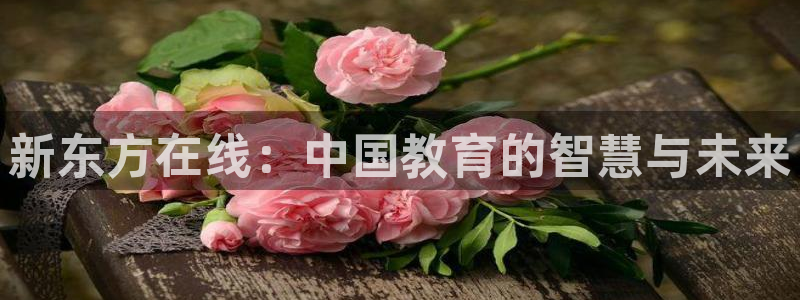 新宝5娱乐登录