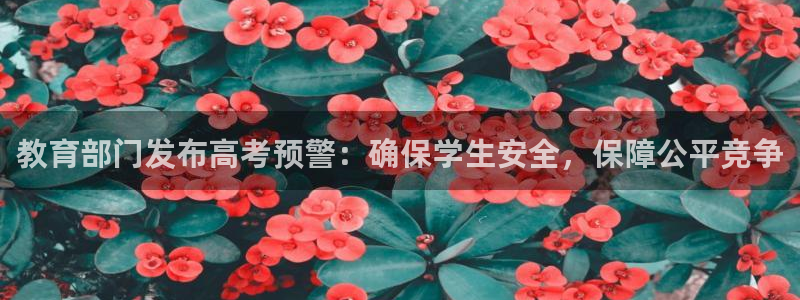 新宝5娱乐多