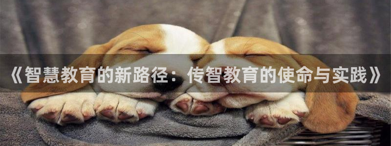 新宝5注册测速登录