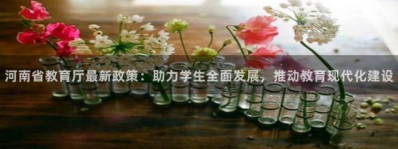 新宝5策略