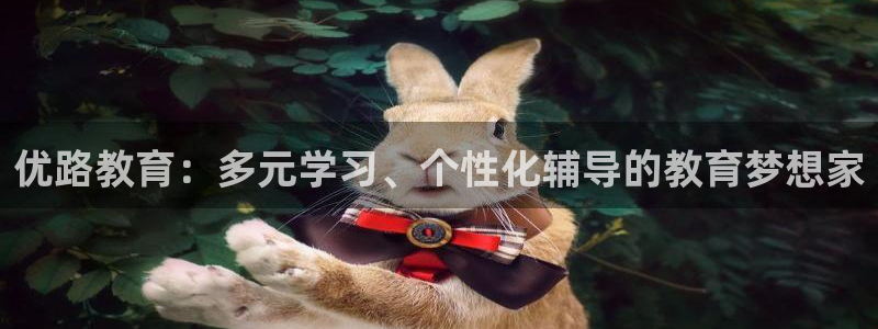 新宝5娱乐经