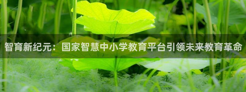 新宝m2O5O5O