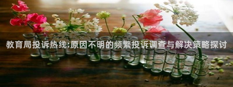 新宝5代理