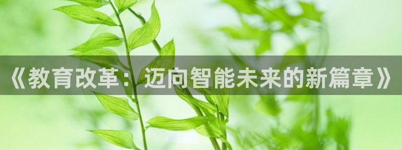 新宝股东瞧听2 5 5