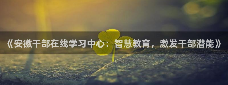 新宝5球维33 300