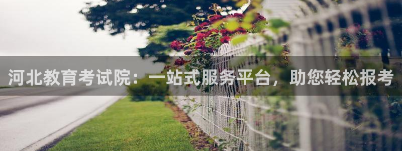 新宝5娱乐代理