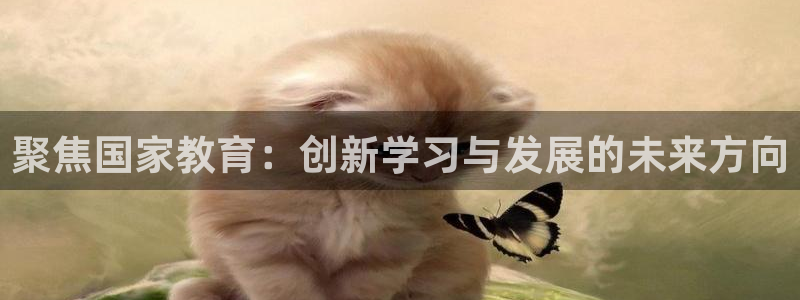 新5宝