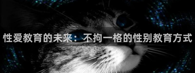 新宝5安卓版