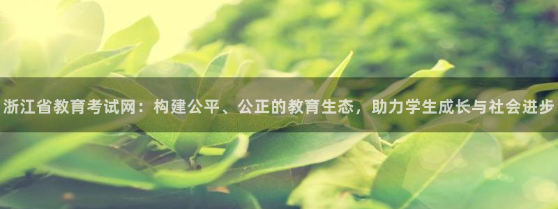 新宝b2O5O5O
