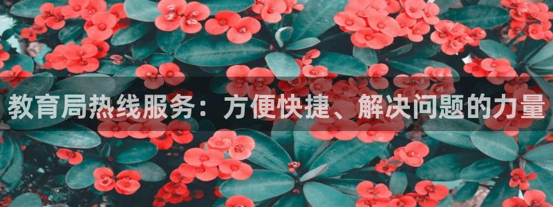 新宝5官网