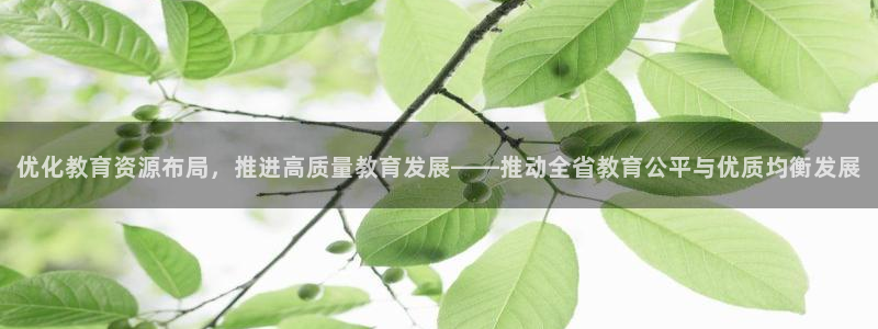 有人知道新宝5么