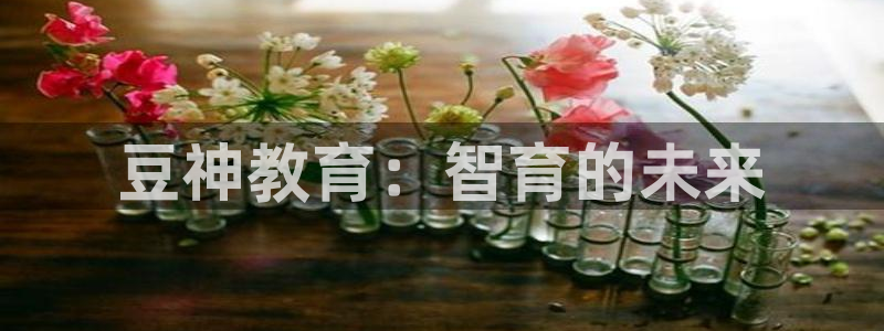 新宝5是什么