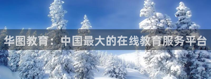 新宝5是什么样子的