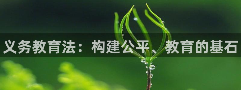 新宝5登陆地址