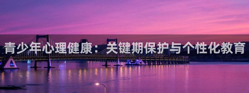 新宝5挂机软件