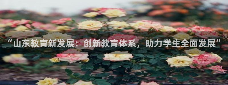 新宝5怎么代理