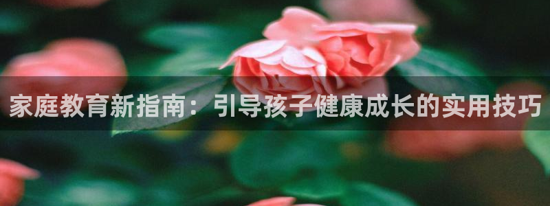 新宝5官方网站