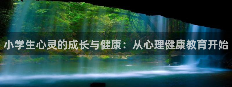 新宝5安卓版