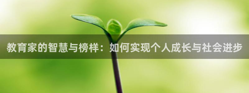 新宝5是什么