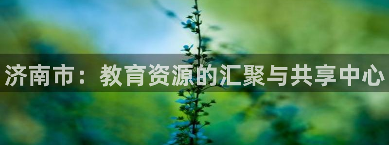 新宝5挂机