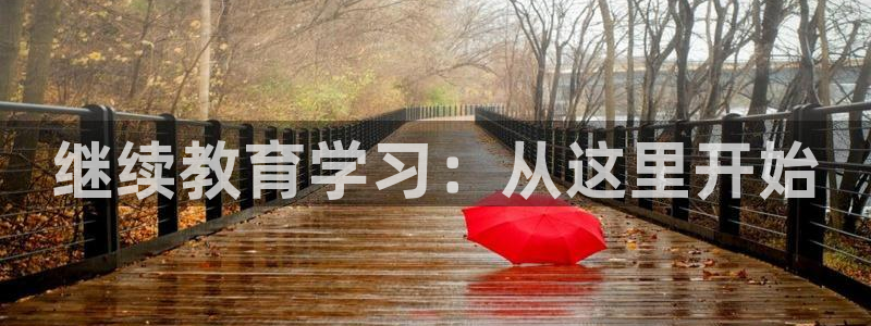 新宝5策略