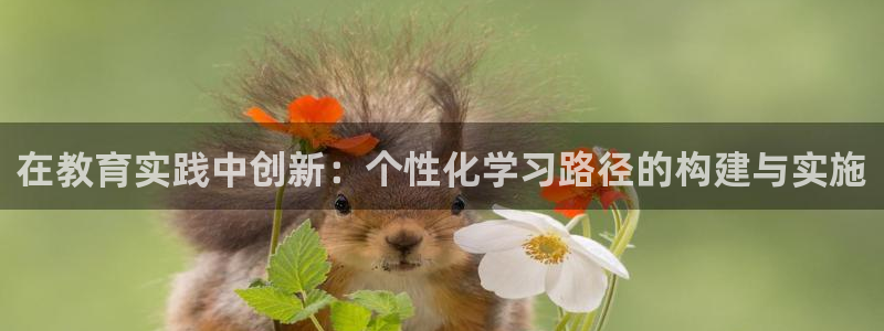 新宝5电脑