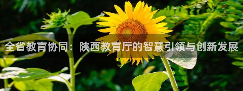 新宝5娱乐经