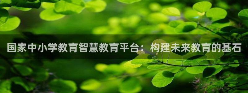 新宝5娱乐同