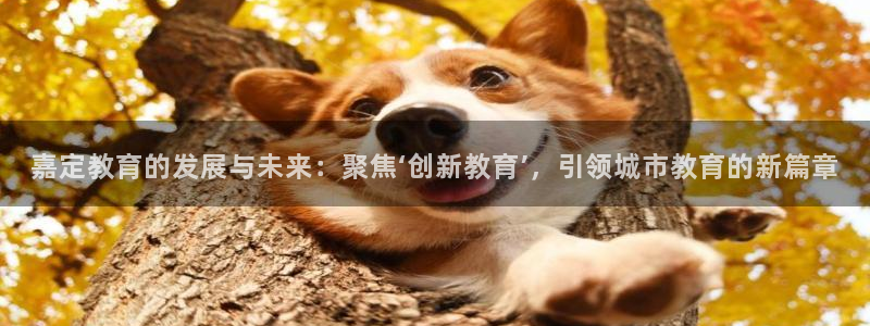新宝5软件下载