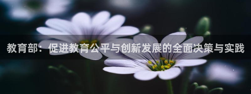 新宝5什么时候上市