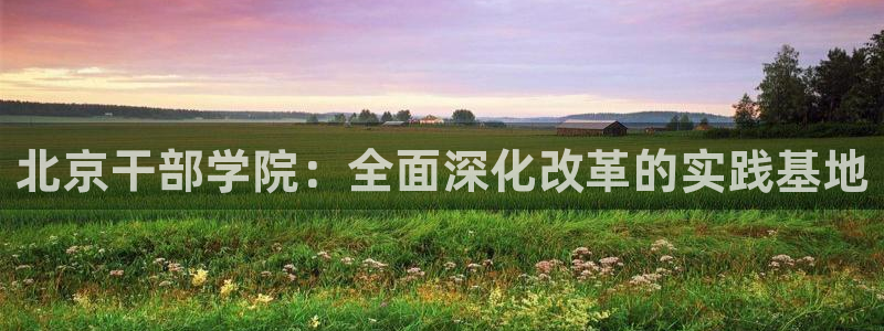 新宝娱乐5