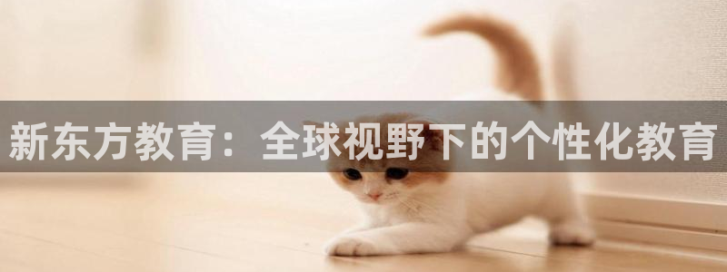 新宝5源码