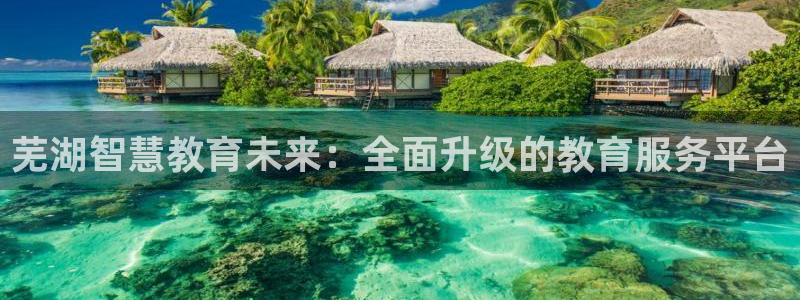 新宝5彩票平台登陆