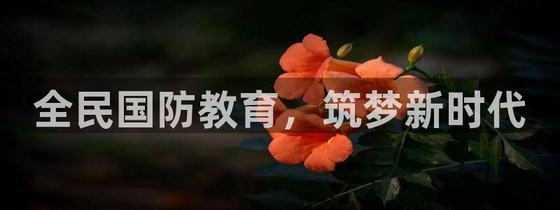 新宝5平台咋样