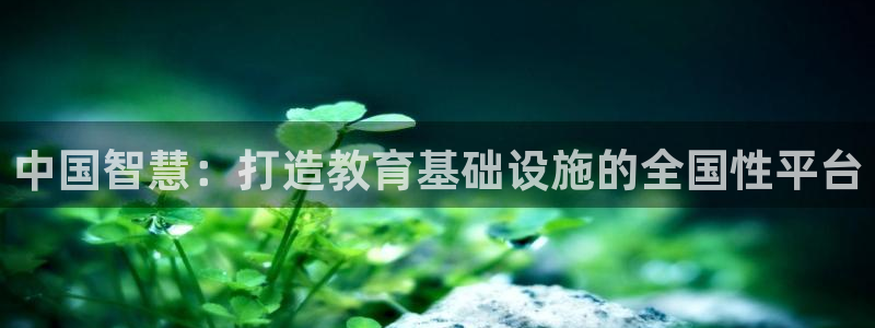 新宝娱乐5入口