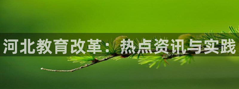 新宝5娱乐代理