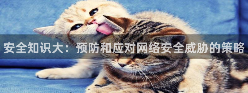 新宝堂新会陈皮5年