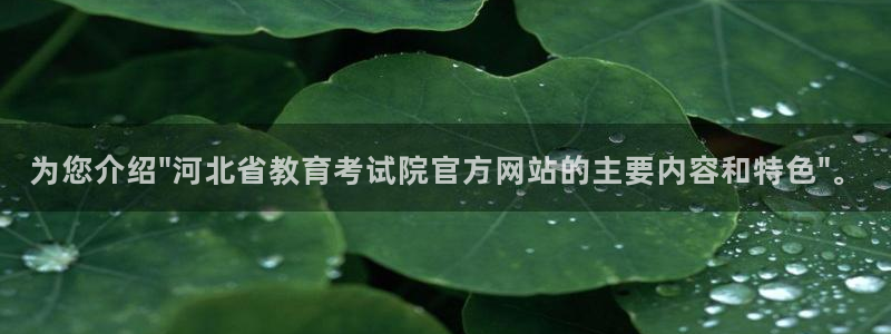 新宝股东瞧听2 5 5