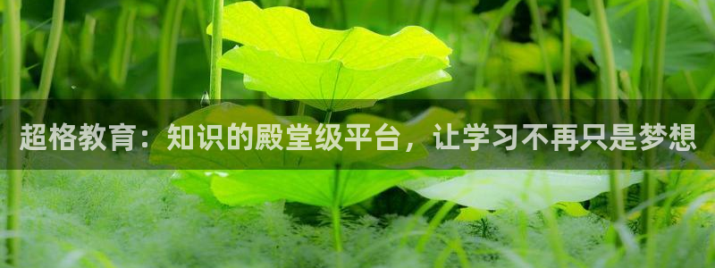 新宝娱乐5
