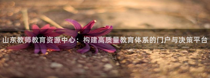 新宝5是谁