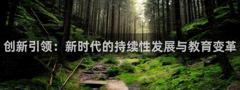 新宝5 - 测速登陆