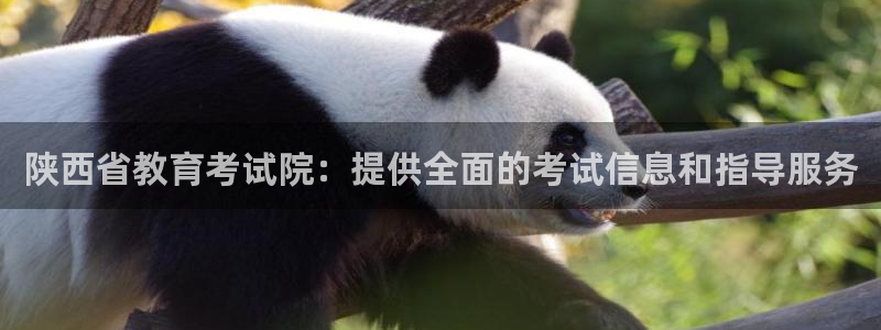 新宝5口67五壹叁八