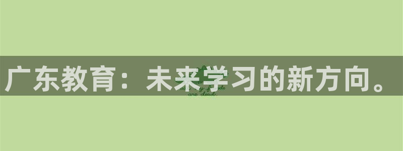 新宝5是什么样子的