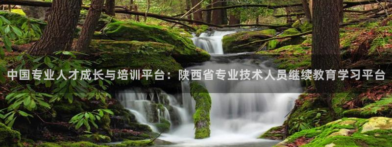 新宝股东张听2 5 5