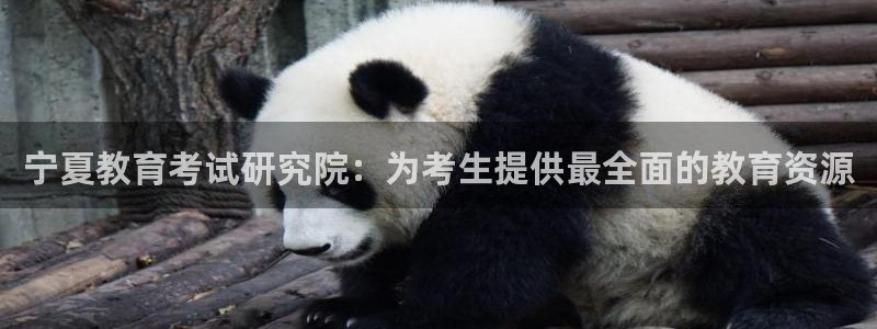 新宝5苹果手机下载